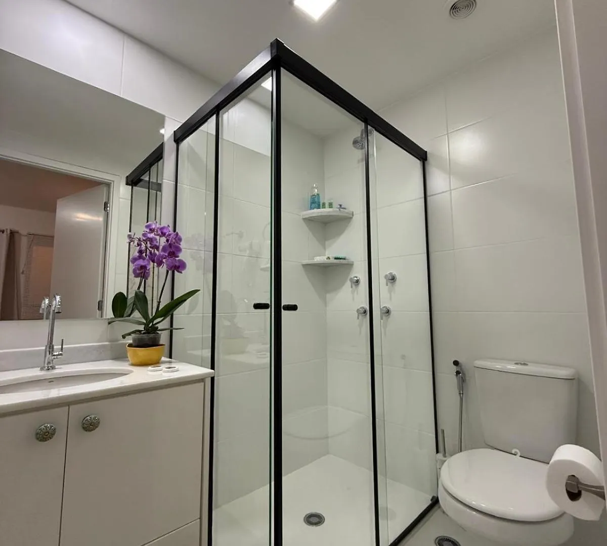 Apartment Estudio Green Loadd Sao Paulo